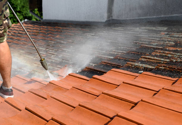 Best Pressure Washing Company Near Me  in Feather Sound, FL