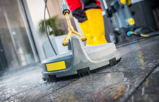 Best Pressure Washing Near Me  in Feather Sound, FL