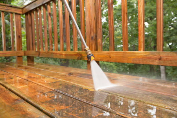 Best Exterior Home Cleaning  in Feather Sound, FL