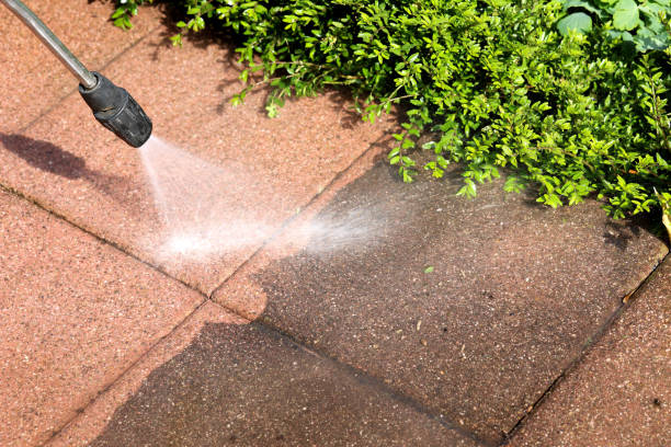 Best Affordable Pressure Washing  in Feather Sound, FL